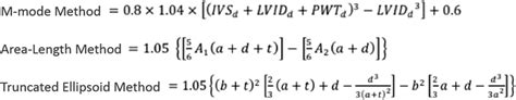 lv mass formula